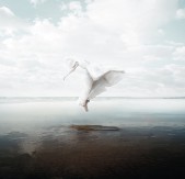  Inkiostro Bianco 